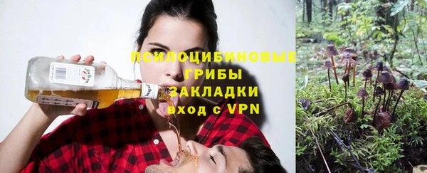 СК Арсеньев
