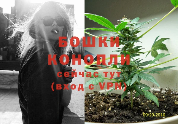 СК Арсеньев